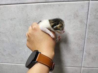 누리동물병원_426331202300290